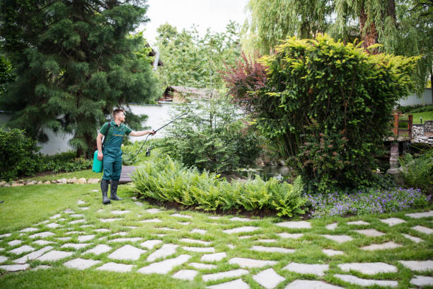 Reliable Madison, NJ Pest Control Solutions