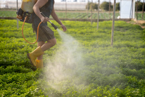 Best Affordable Pest Control Services  in Madison, NJ