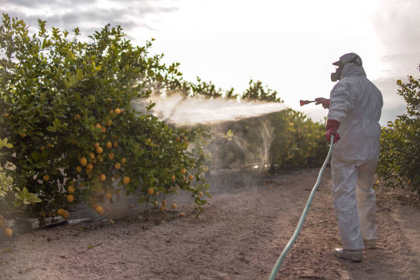 Best Mosquito Control Services  in Madison, NJ