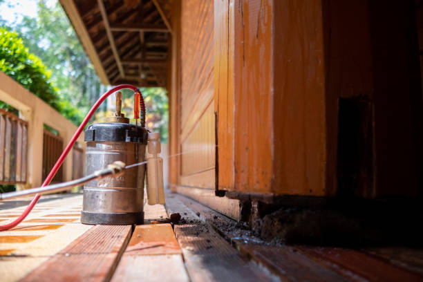 Best Pest Removal Services  in Madison, NJ