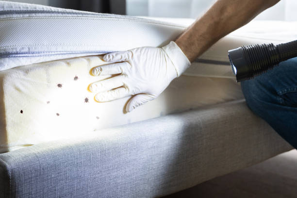 Best Wildlife Control Services  in Madison, NJ
