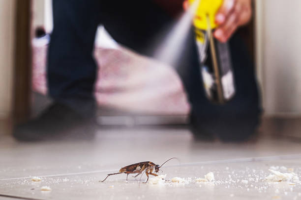 Best Rat Extermination Near Me  in Madison, NJ