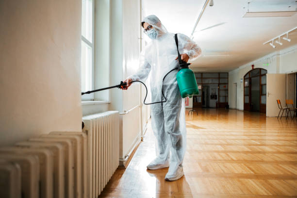 Best Flea Control Services  in Madison, NJ